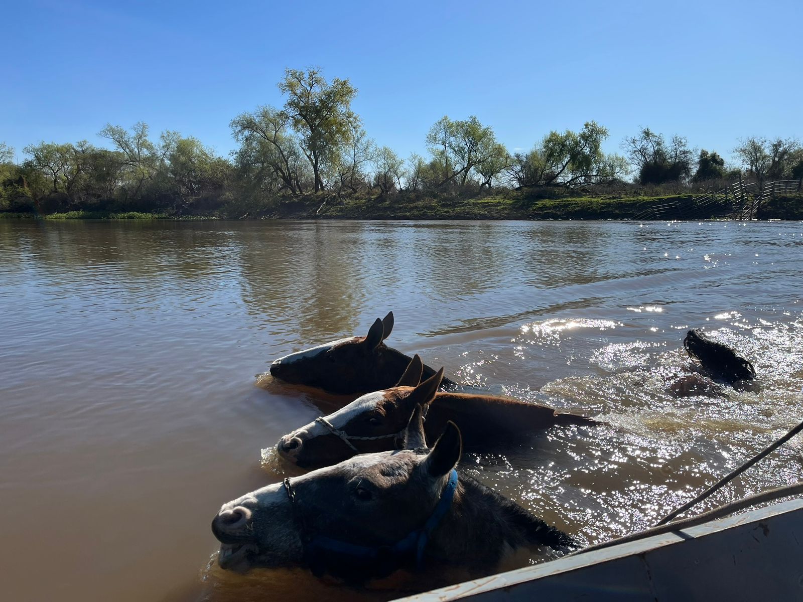 Imagen de la actividad